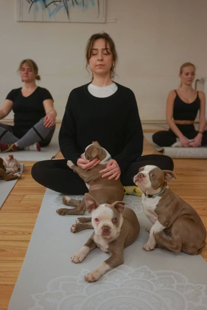 Štěněcí Jóga/ Puppy Yoga Prague, terapie, Cvičení se štěňátky