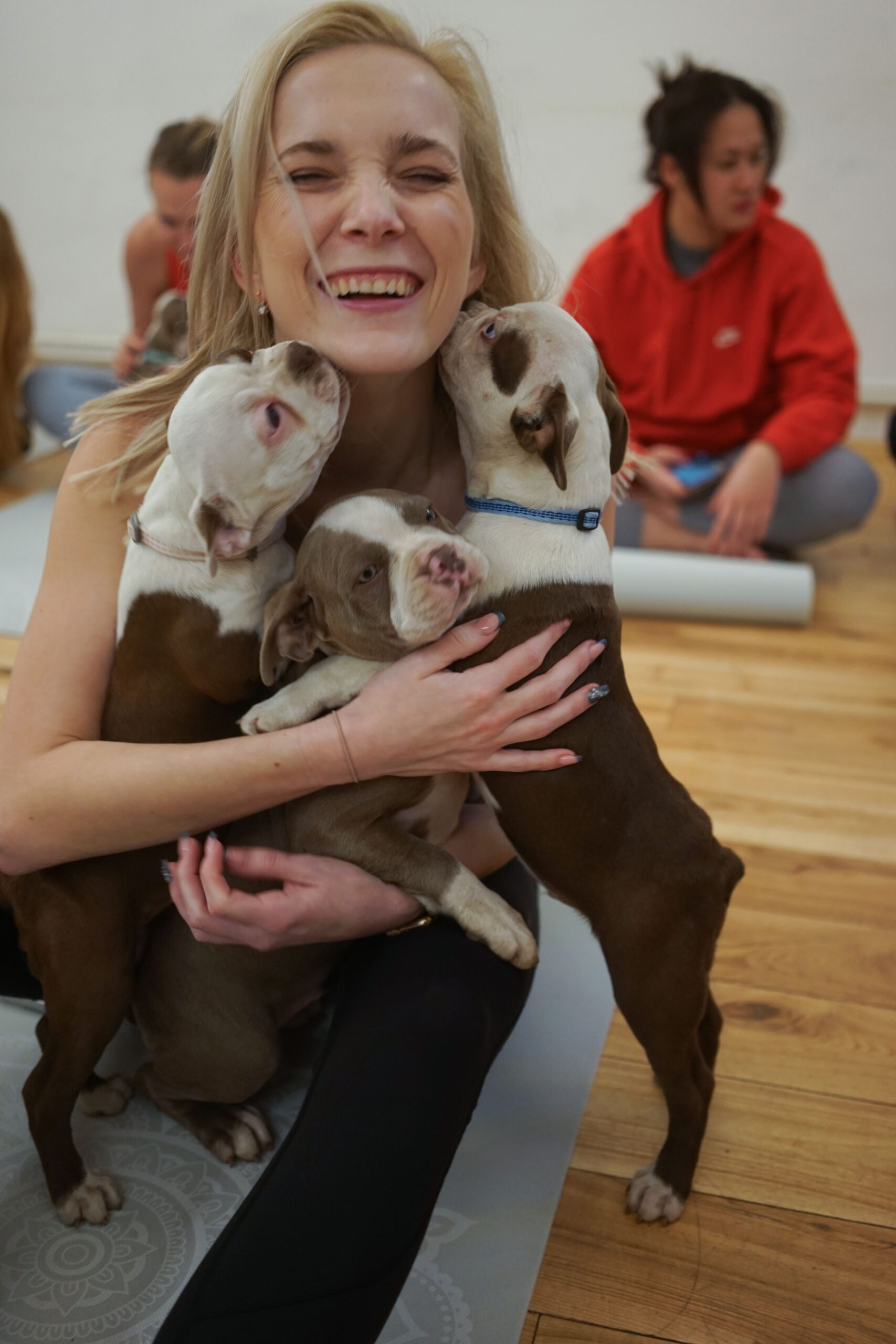 Puppy Yoga / Jóga se Štěňátky